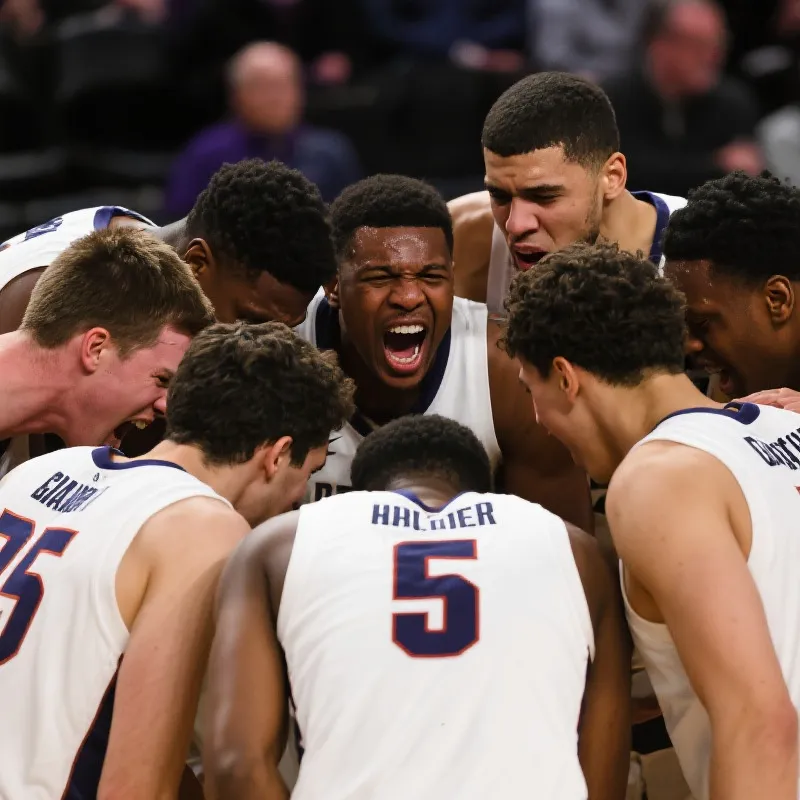 NCAA篮球赛场精神